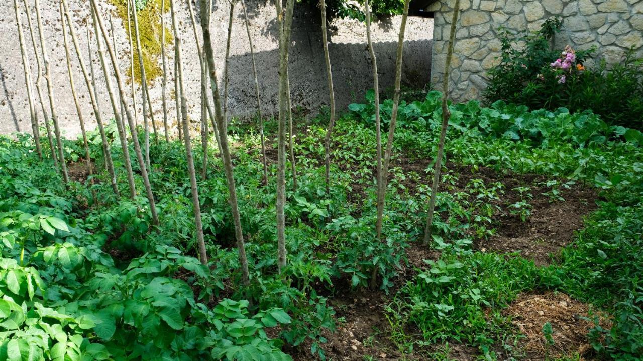 Prevalis Nature Cottage Virpazar Exterior foto
